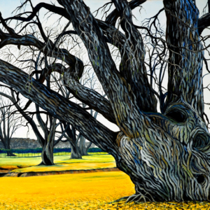 le-saule-francais-nous-embrasse