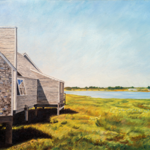 lombre-dans-le-foin-des-dunes